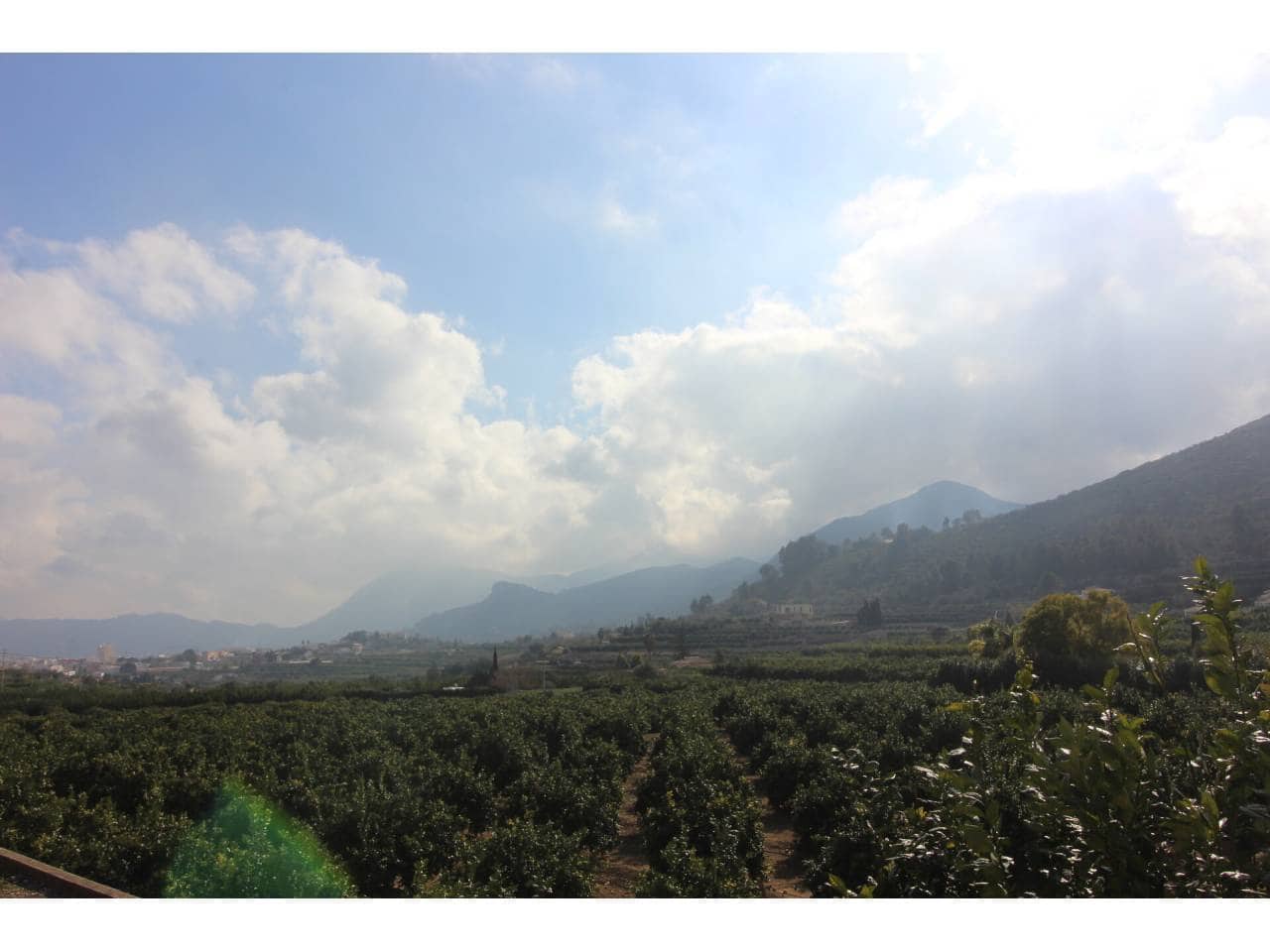 Terreno Non Edificato in vendita in Monte Pego - 128.000 € (Rif: 7177641)