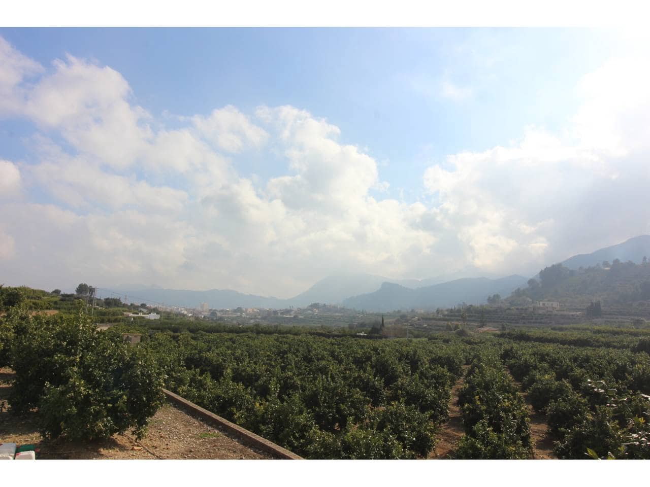 Terreno Non Edificato in vendita in Monte Pego - 128.000 € (Rif: 7177641)