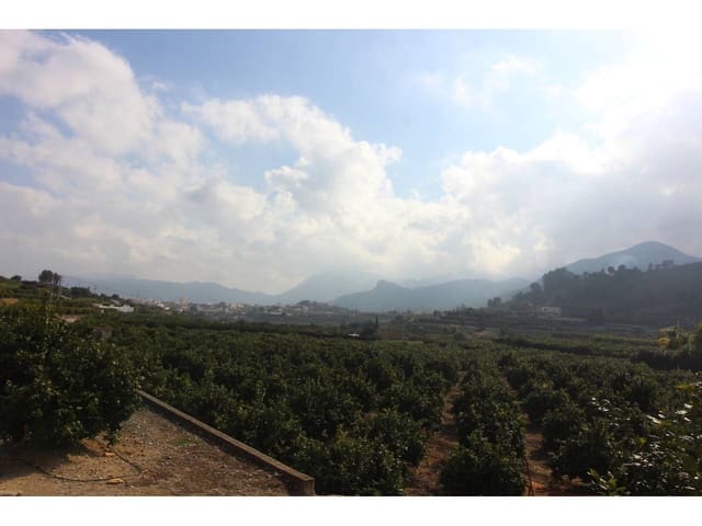 Mark till salu i Monte Pego, Pego - 128 000 € (Ref: 7177641)