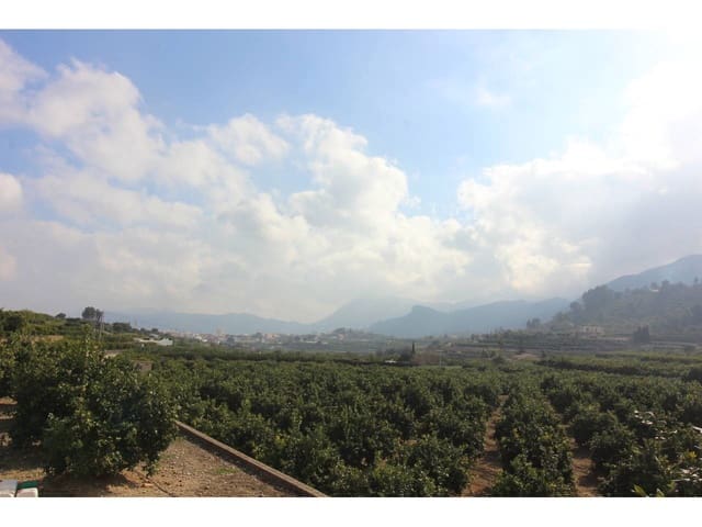 Mark till salu i Monte Pego, Pego - 128 000 € (Ref: 7177641)