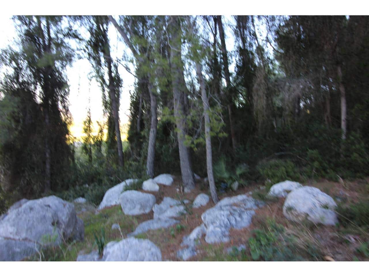 10 soveværelse Lejlighed til salg i Pego med swimmingpool garage - € 300.000 (Ref: 8010052)