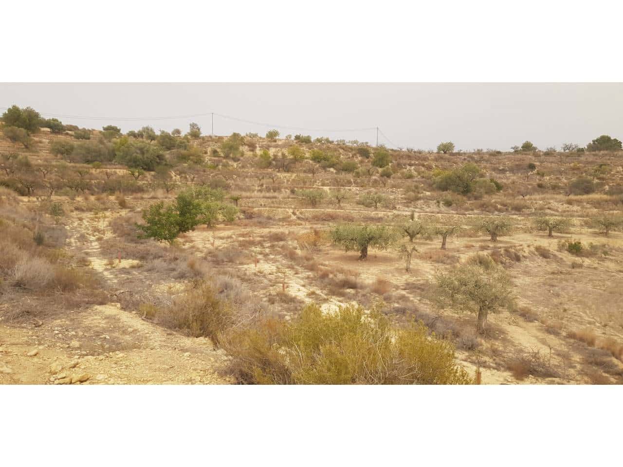 Undeveloped Land for sale in Benissa - € 129,000 (Ref: 8359039)