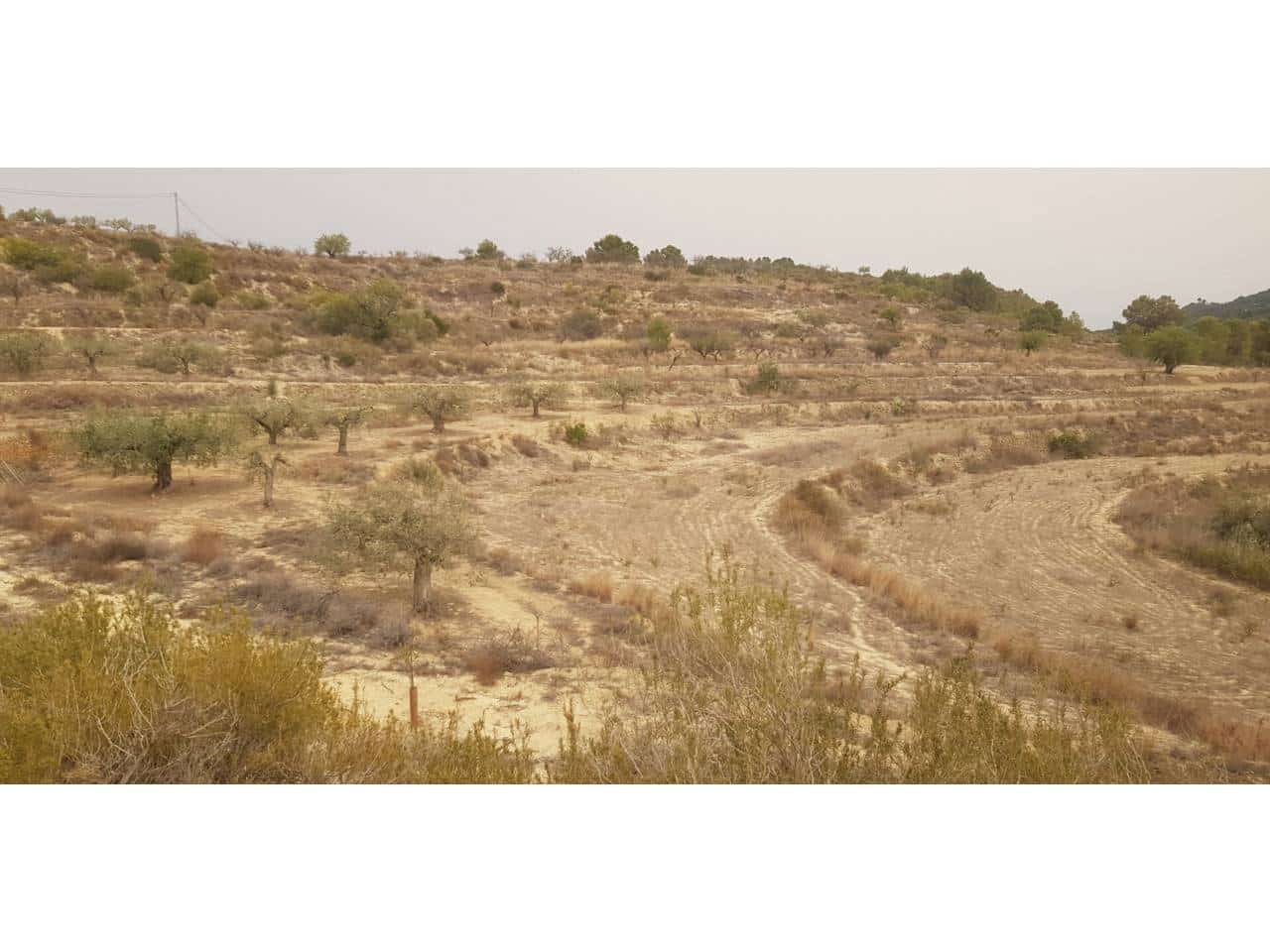 Undeveloped Land for sale in Benissa - € 129,000 (Ref: 8359039)