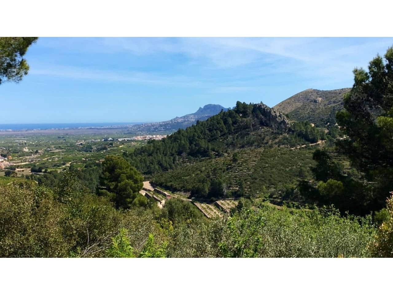 Terreno/Finca Rústica en L'Atzúvia en venta - 35.000 € (Ref: 8705768)