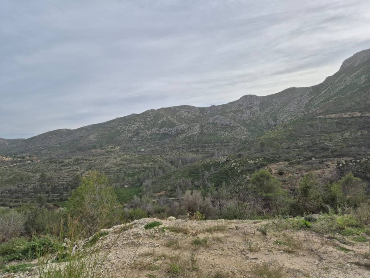 Terreno/Finca Rústica en L'Atzúvia en venta - 35.000 € (Ref: 8705768)