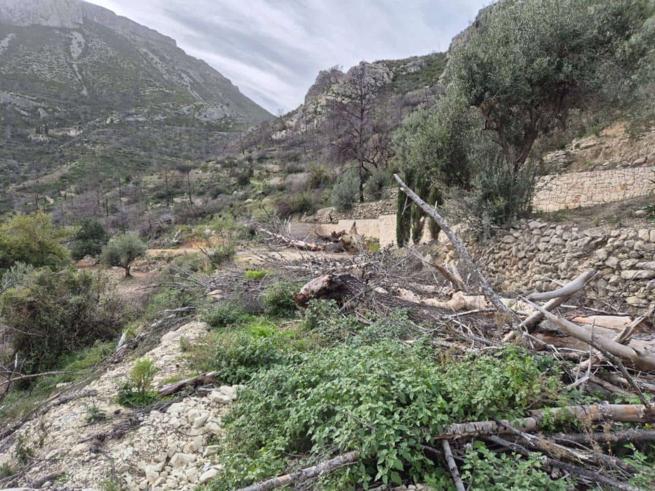Terreno/Finca Rústica en L'Atzúvia en venta - 35.000 € (Ref: 8705768)