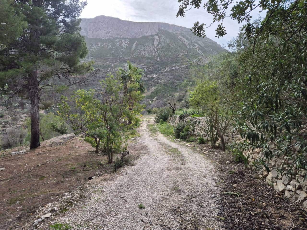 Terreno/Finca Rústica en L'Atzúvia en venta - 35.000 € (Ref: 8705768)