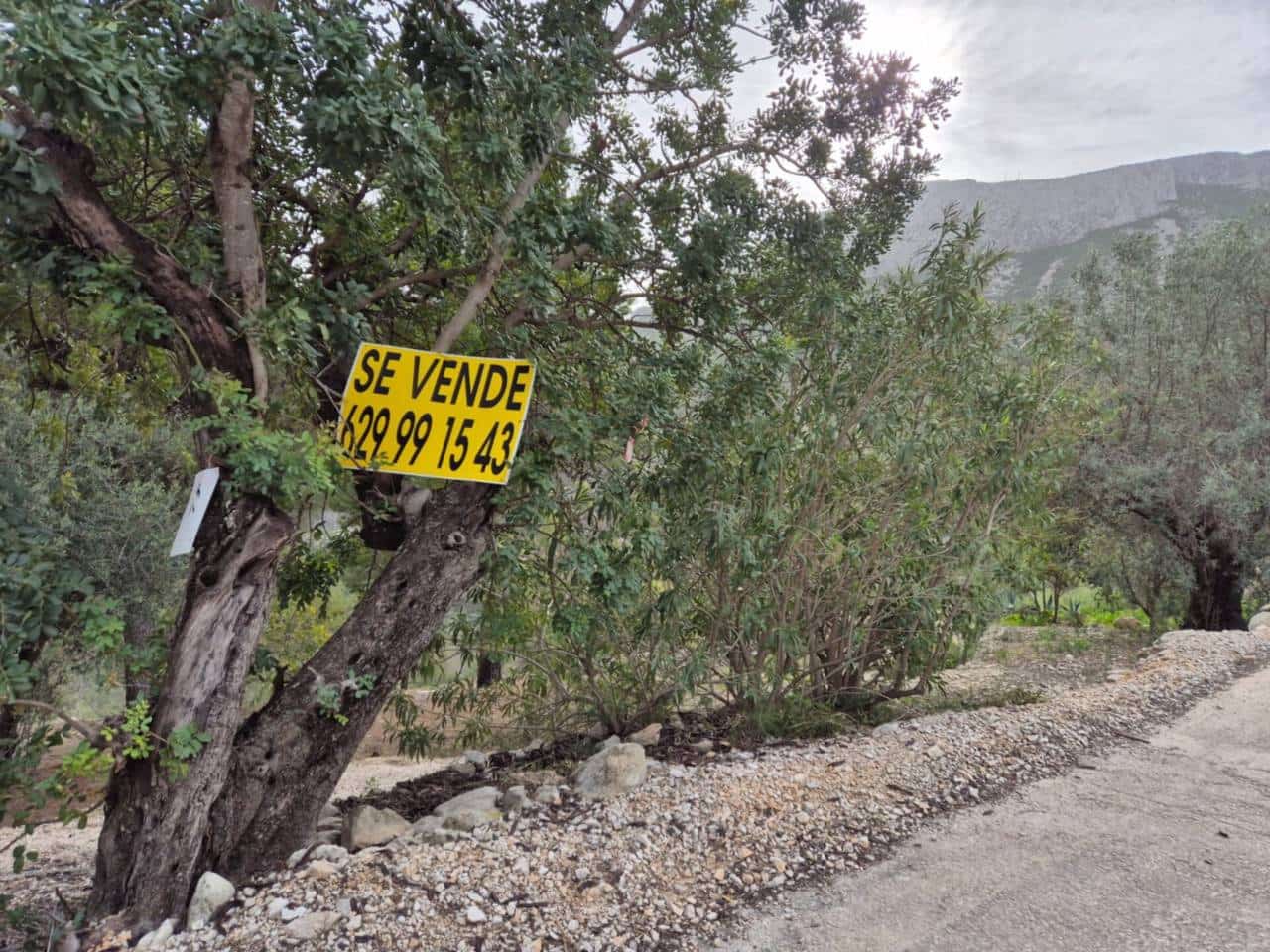 Terreno/Finca Rústica en L'Atzúvia en venta - 35.000 € (Ref: 8705768)