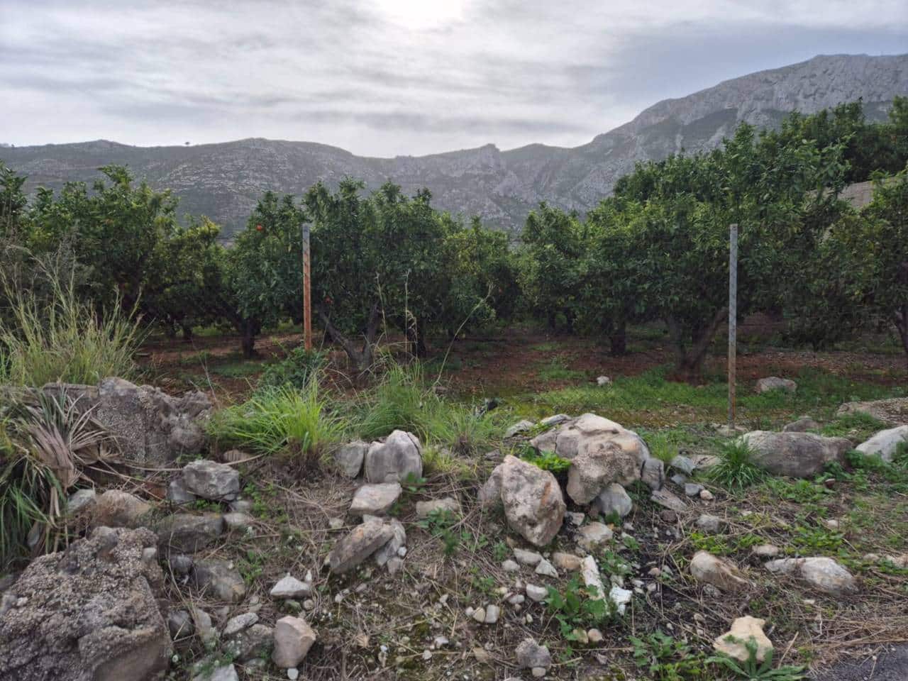 Finca/Herregård til salgs i L'Atzuvia - € 125 000 (Ref: 8707536)