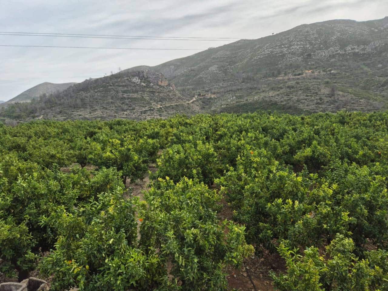 Finca/Herregård til salgs i L'Atzuvia - € 125 000 (Ref: 8707536)