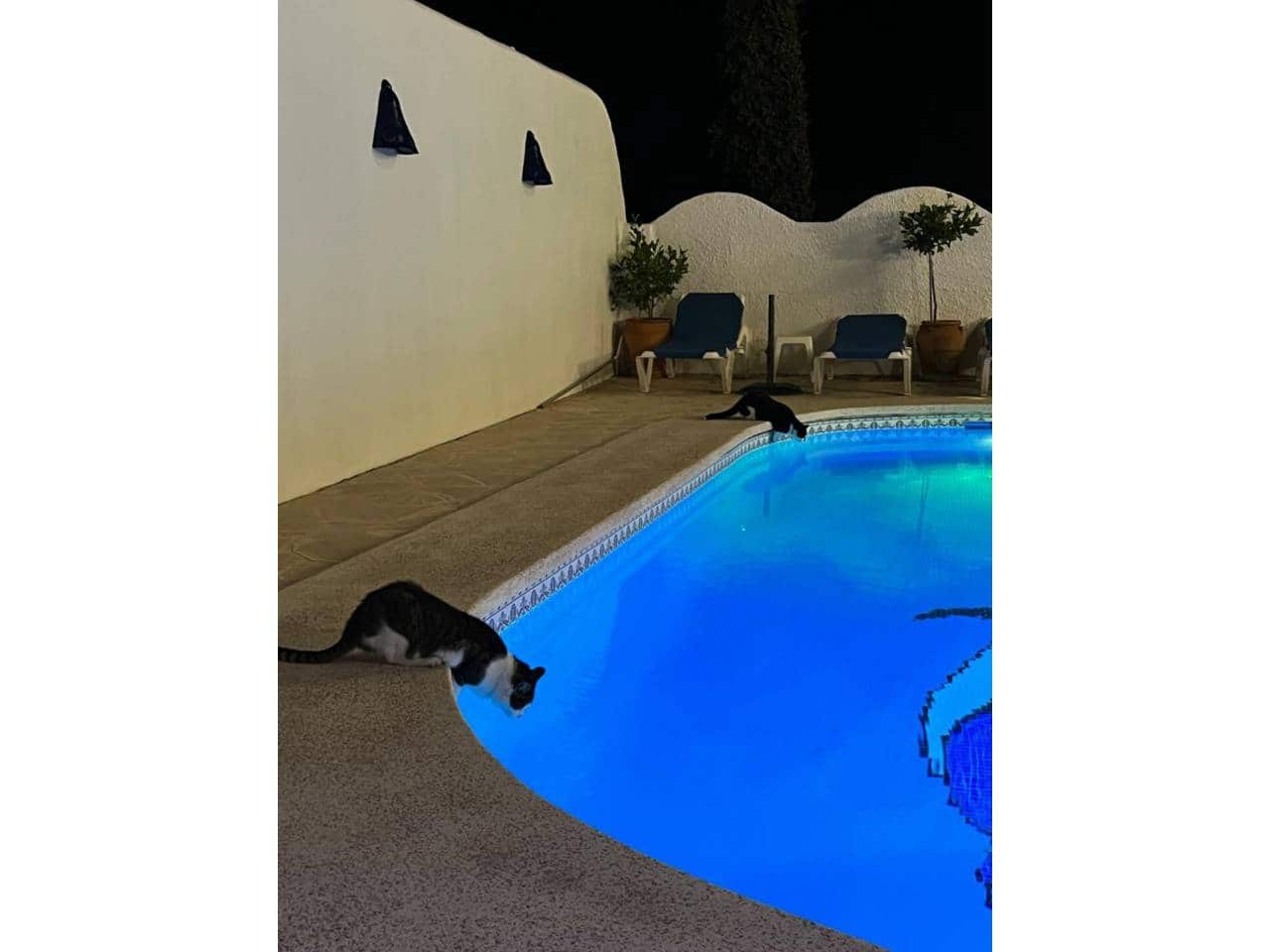 3 slaapkamer Villa te koop in Calpe / Calp met zwembad garage - € 675.000 (Ref: 8815313)