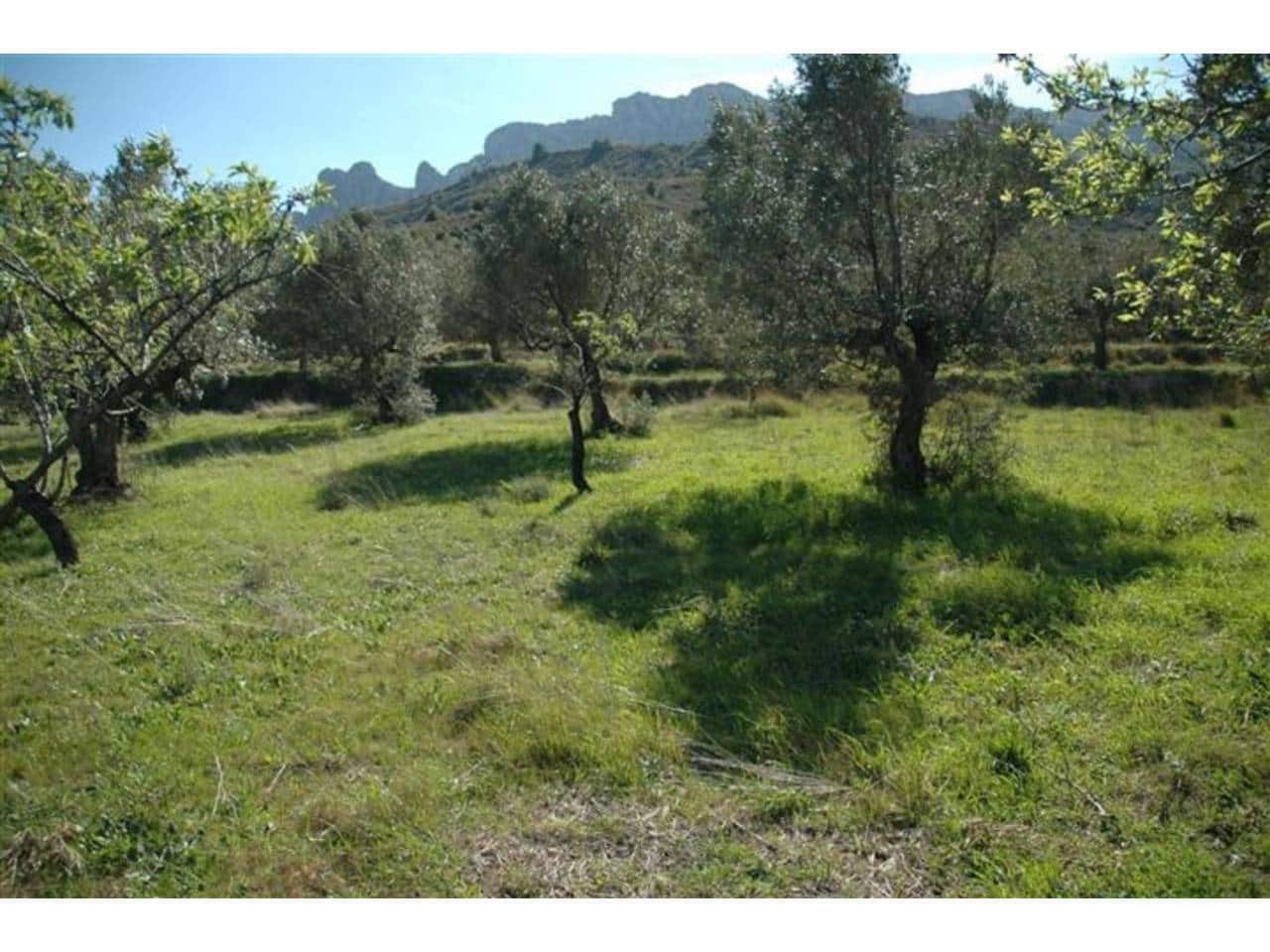 Grunde uden byggetilladelser til salg i Guadalest - € 95.000 (Ref: 9002469)