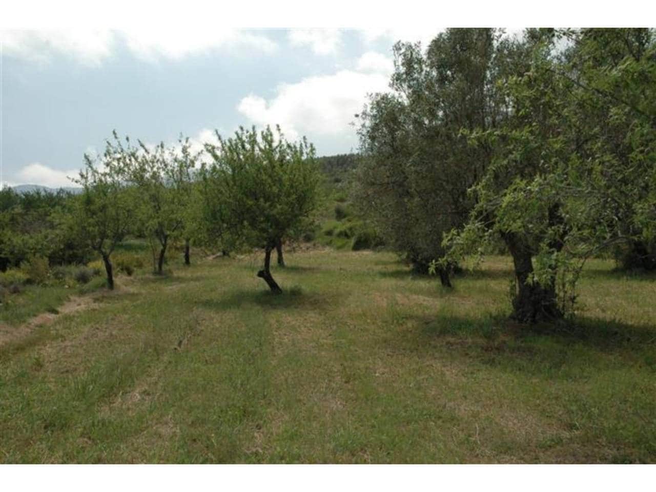 Grunde uden byggetilladelser til salg i Guadalest - € 95.000 (Ref: 9002469)