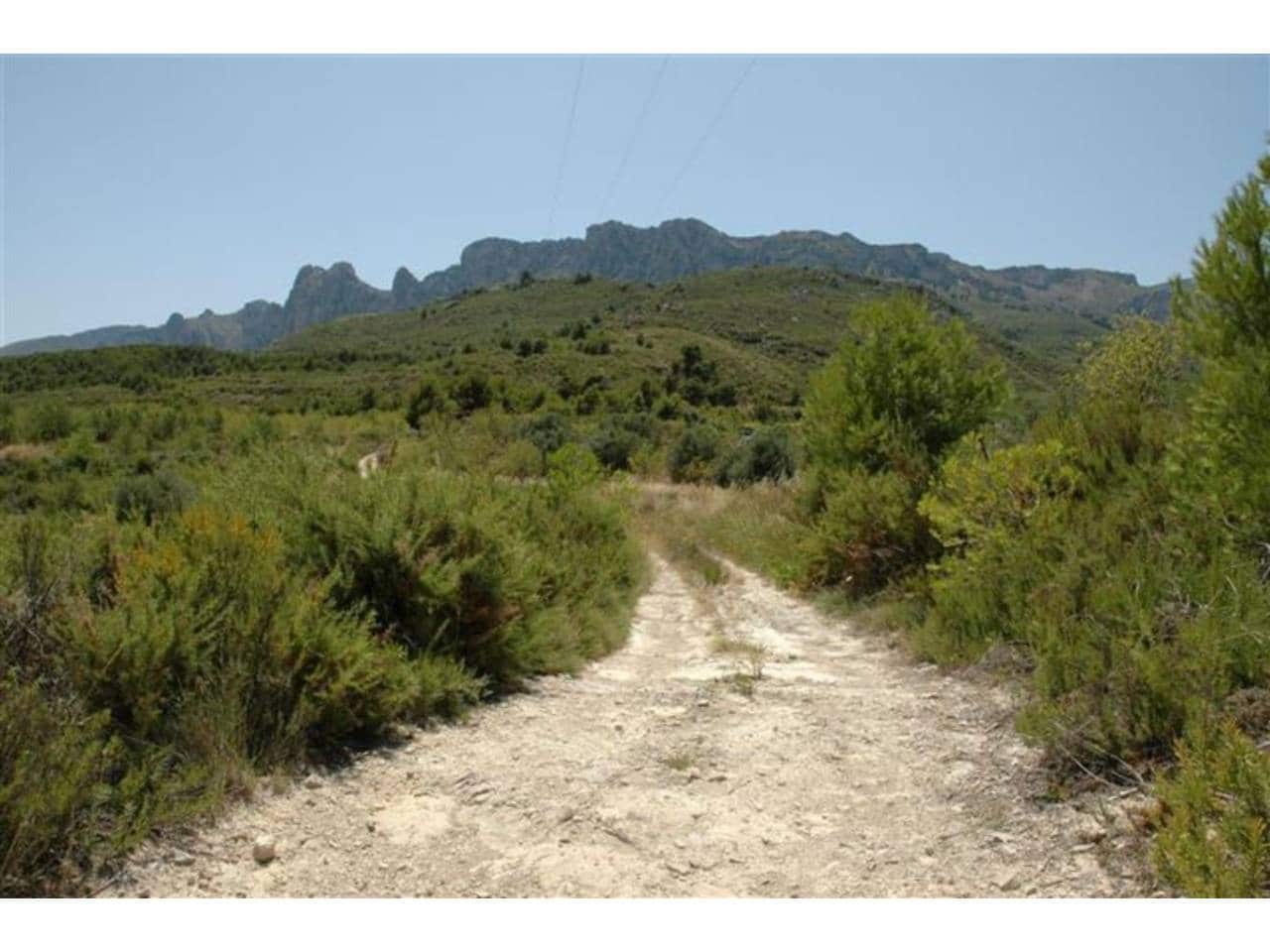 Grunde uden byggetilladelser til salg i Guadalest - € 95.000 (Ref: 9002469)