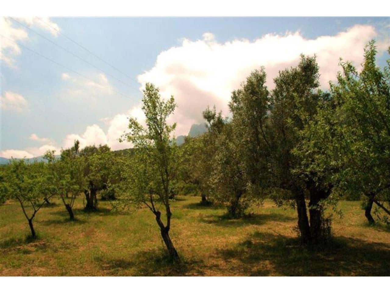 Grunde uden byggetilladelser til salg i Guadalest - € 95.000 (Ref: 9002469)