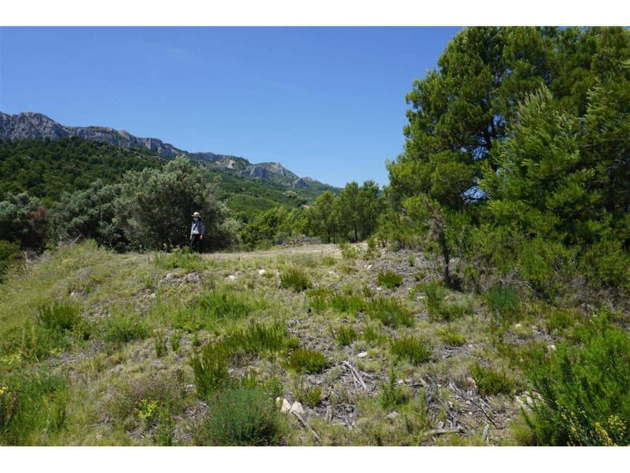 Grunde uden byggetilladelser til salg i Guadalest - € 95.000 (Ref: 9002469)