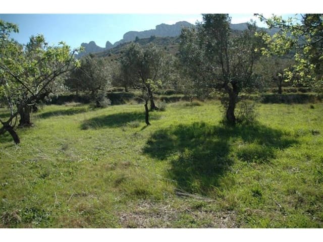 Terreno Non Edificato in vendita in Guadalest - 95.000 € (Rif: 9002469)