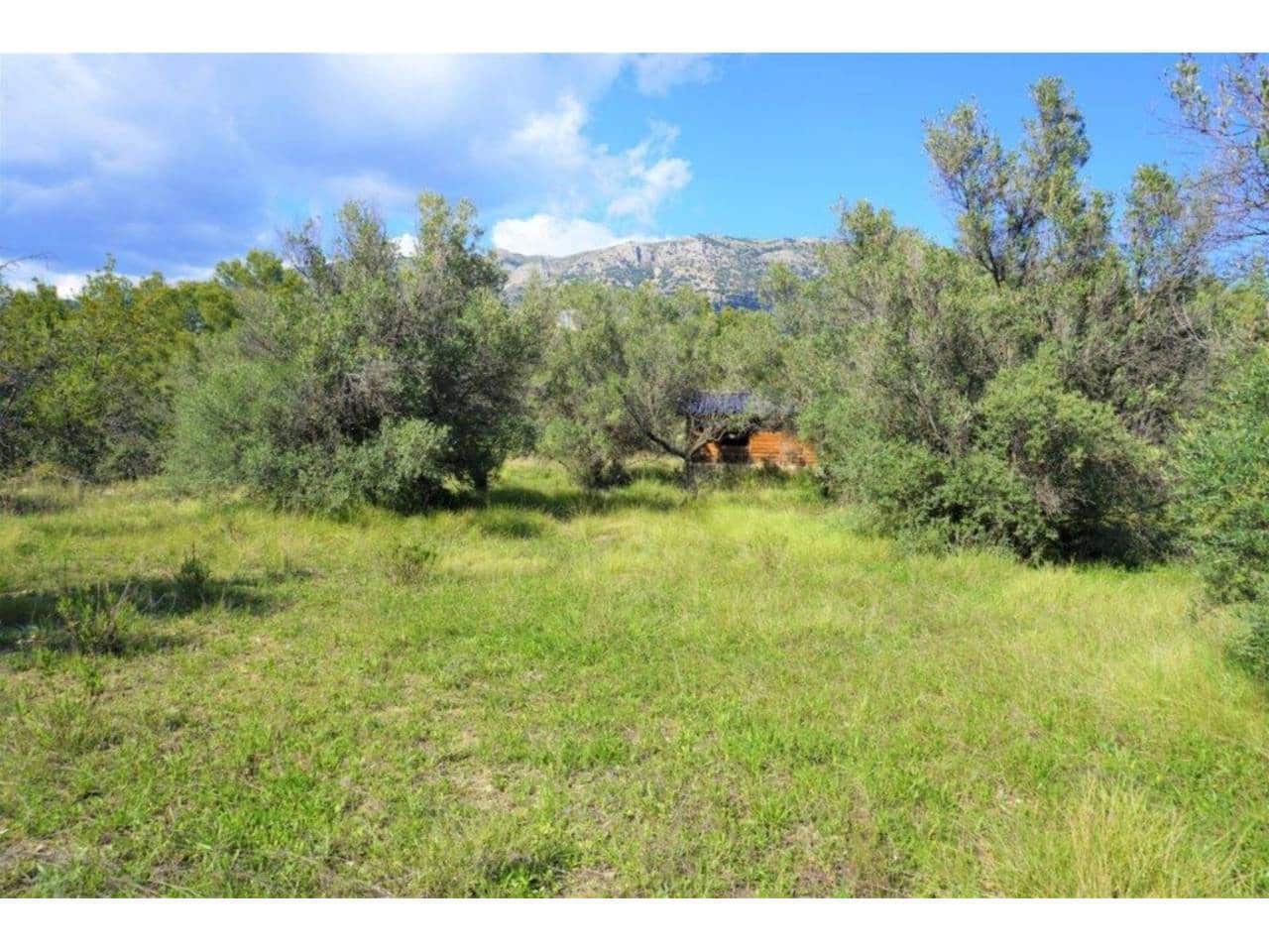 Grunde uden byggetilladelser til salg i Guadalest - € 95.000 (Ref: 9002469)