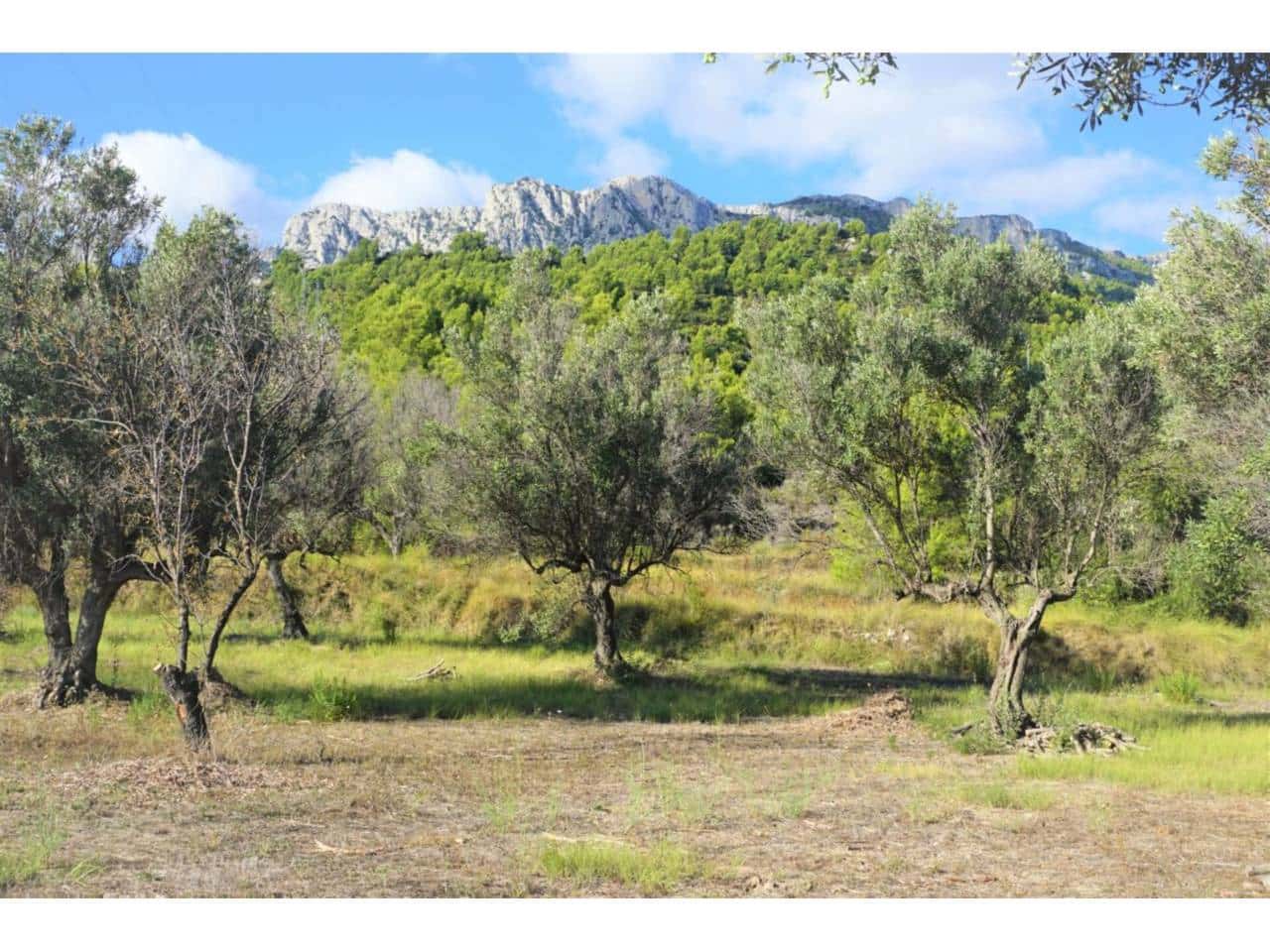 Grunde uden byggetilladelser til salg i Guadalest - € 95.000 (Ref: 9002469)