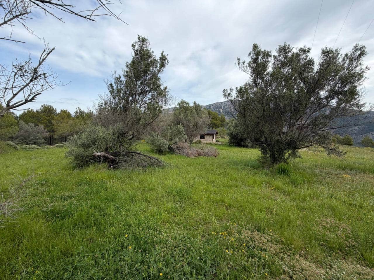 Teren niezagospodarowany na sprzedaż w Guadalest - 95 000 € (Ref: 9002469)