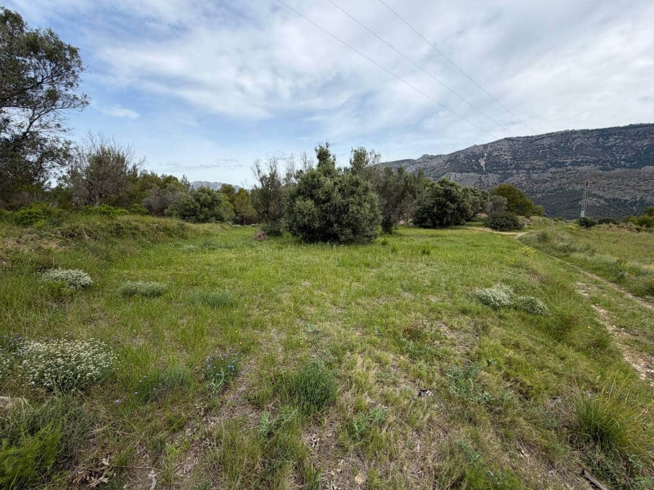 Teren niezagospodarowany na sprzedaż w Guadalest - 95 000 € (Ref: 9002469)