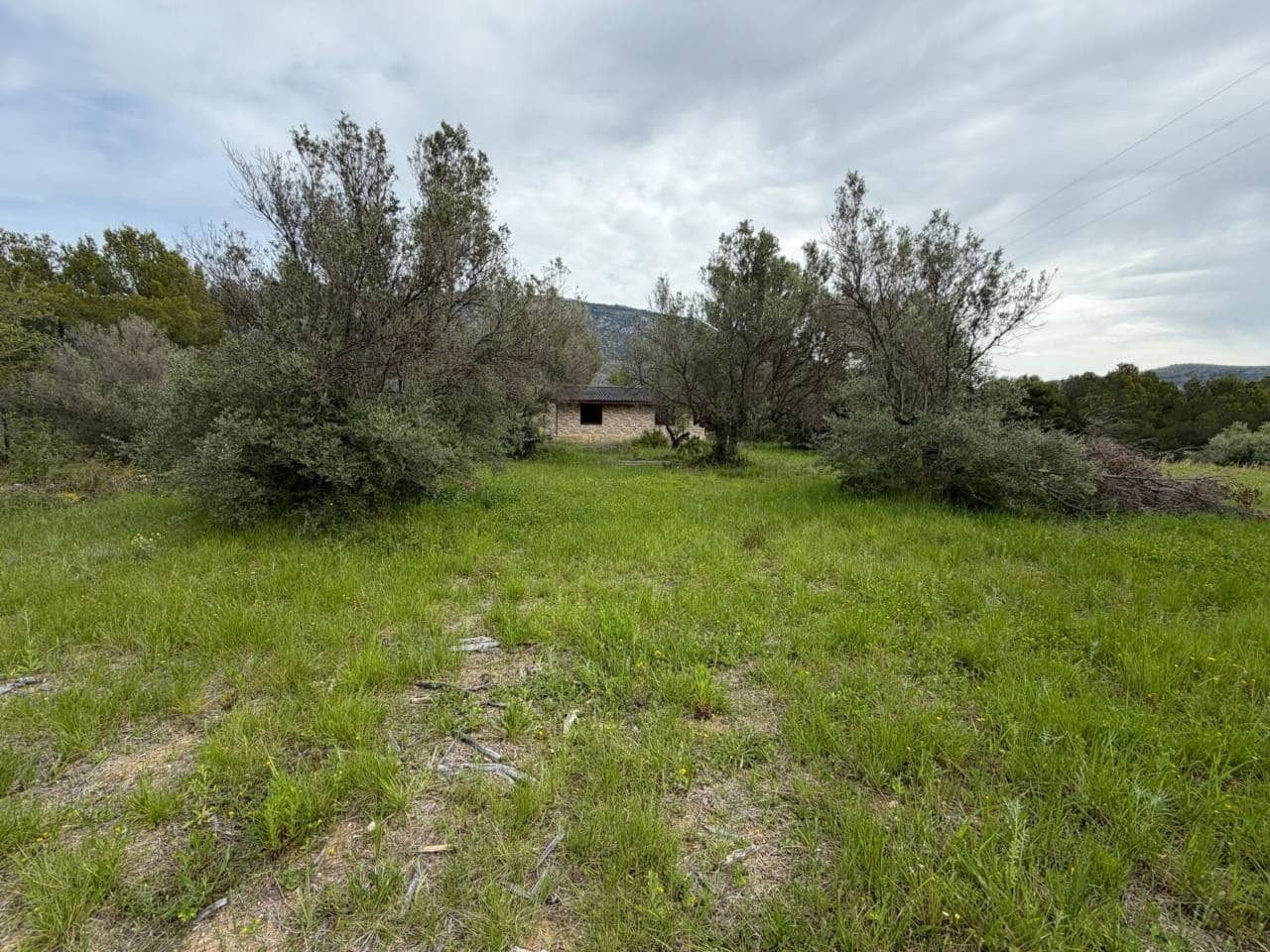 Teren niezagospodarowany na sprzedaż w Guadalest - 95 000 € (Ref: 9002469)