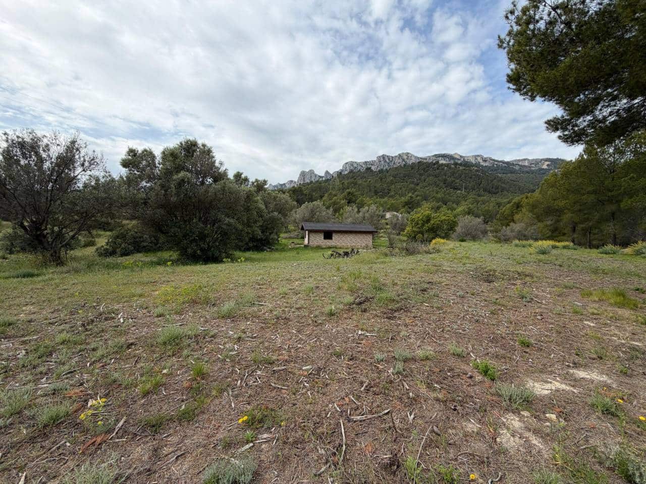 Teren niezagospodarowany na sprzedaż w Guadalest - 95 000 € (Ref: 9002469)