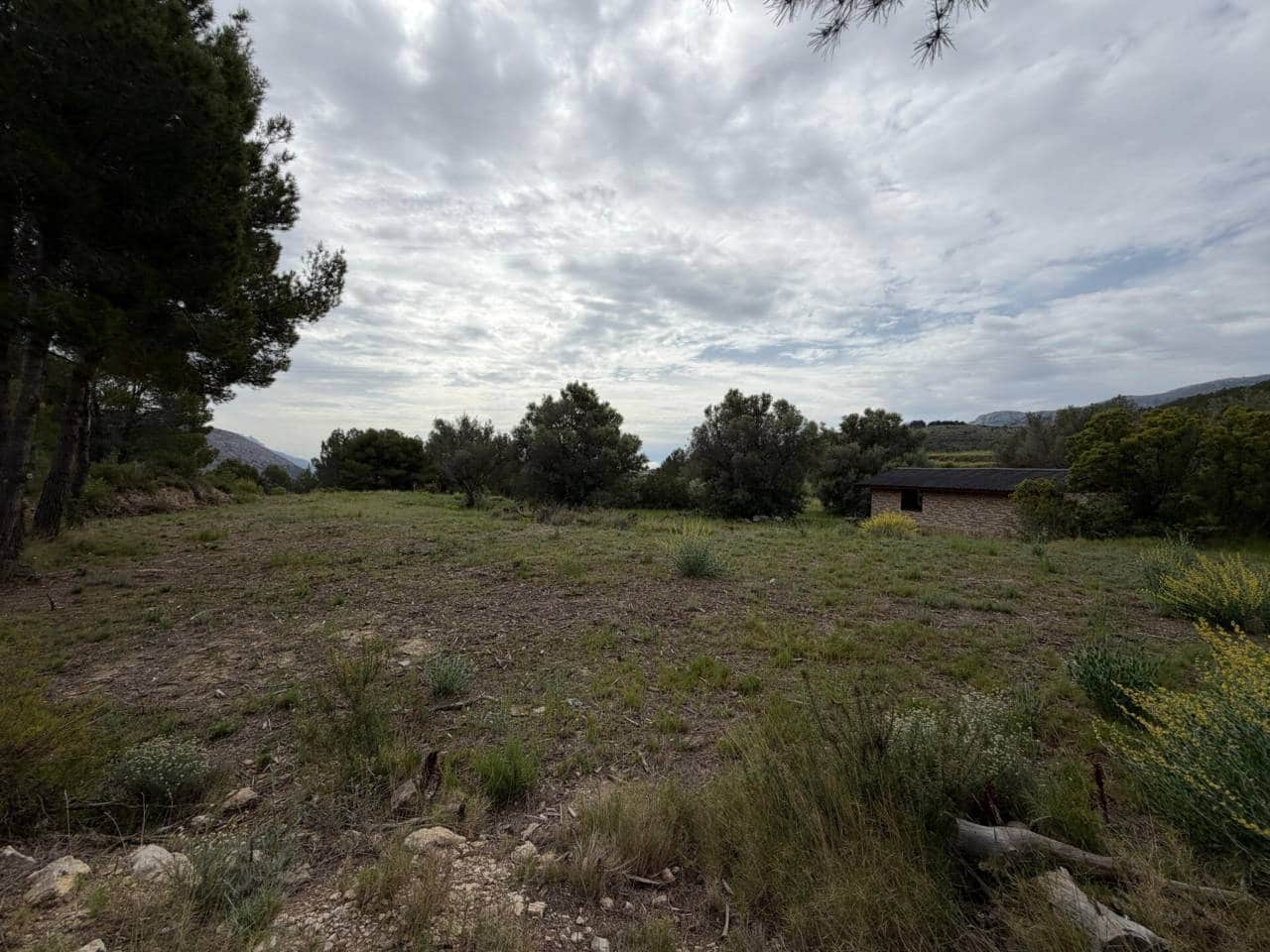 Teren niezagospodarowany na sprzedaż w Guadalest - 95 000 € (Ref: 9002469)