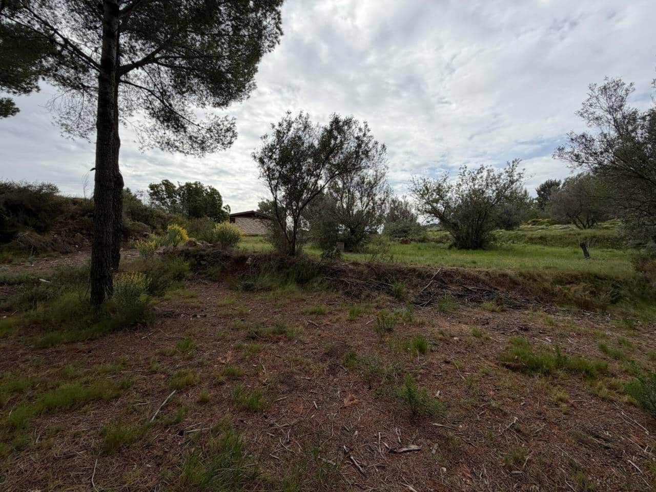 Teren niezagospodarowany na sprzedaż w Guadalest - 95 000 € (Ref: 9002469)