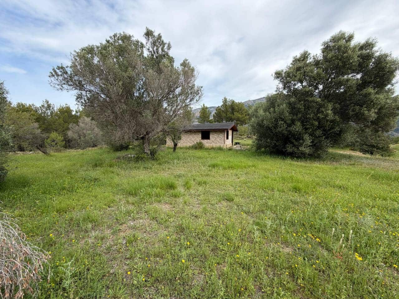 Teren niezagospodarowany na sprzedaż w Guadalest - 95 000 € (Ref: 9002469)
