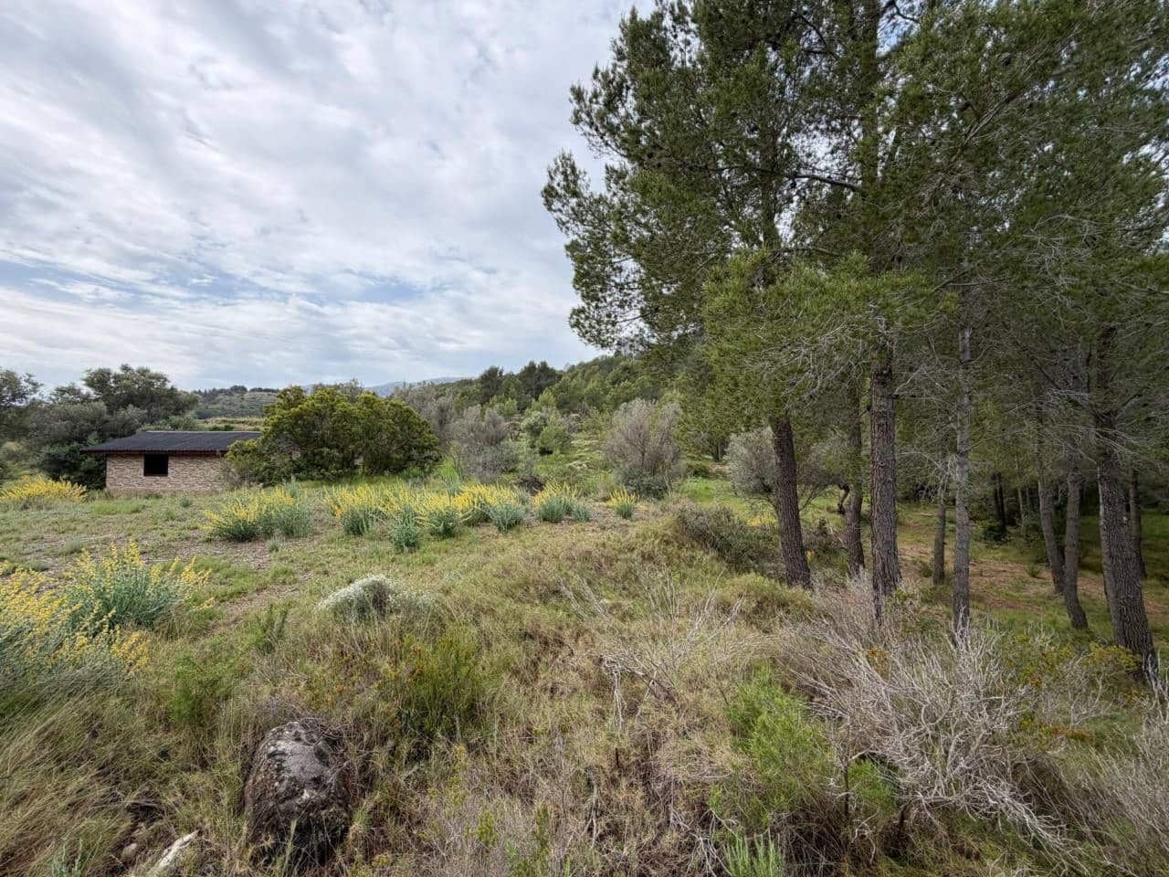 Teren niezagospodarowany na sprzedaż w Guadalest - 95 000 € (Ref: 9002469)