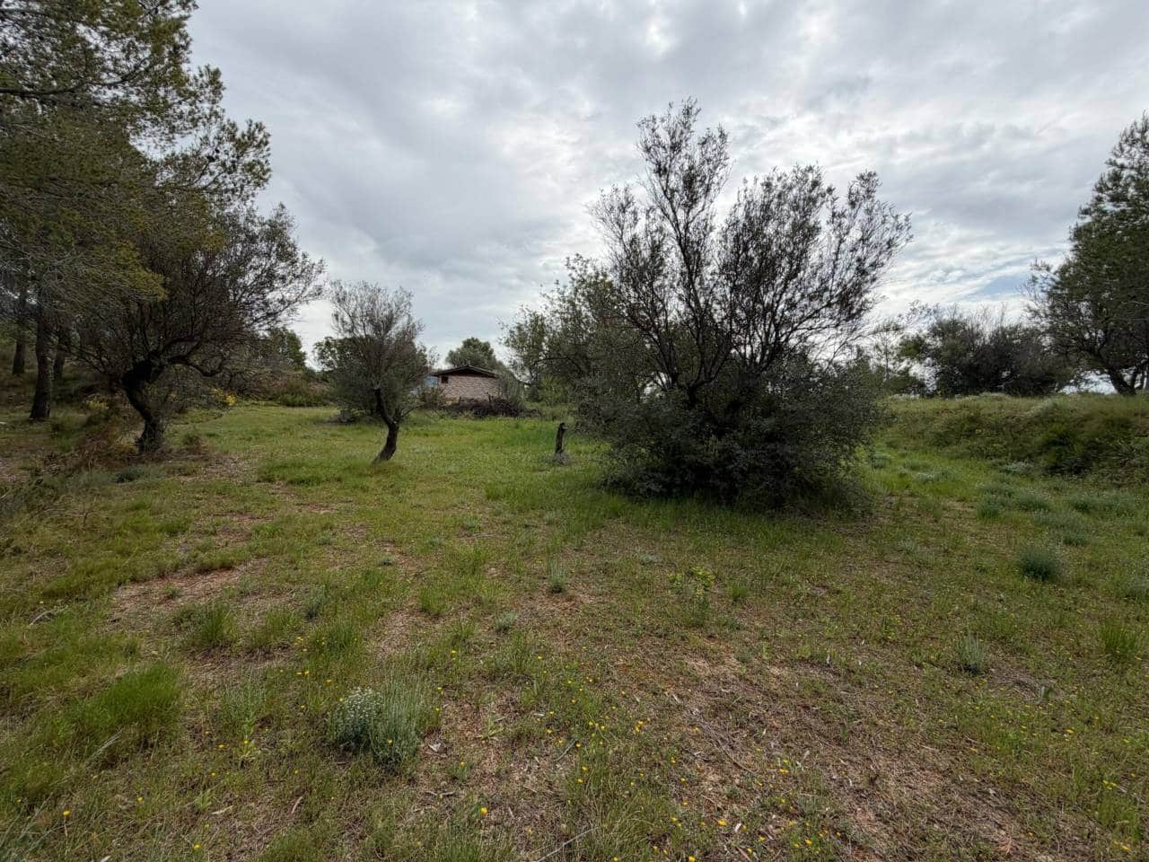 Teren niezagospodarowany na sprzedaż w Guadalest - 95 000 € (Ref: 9002469)
