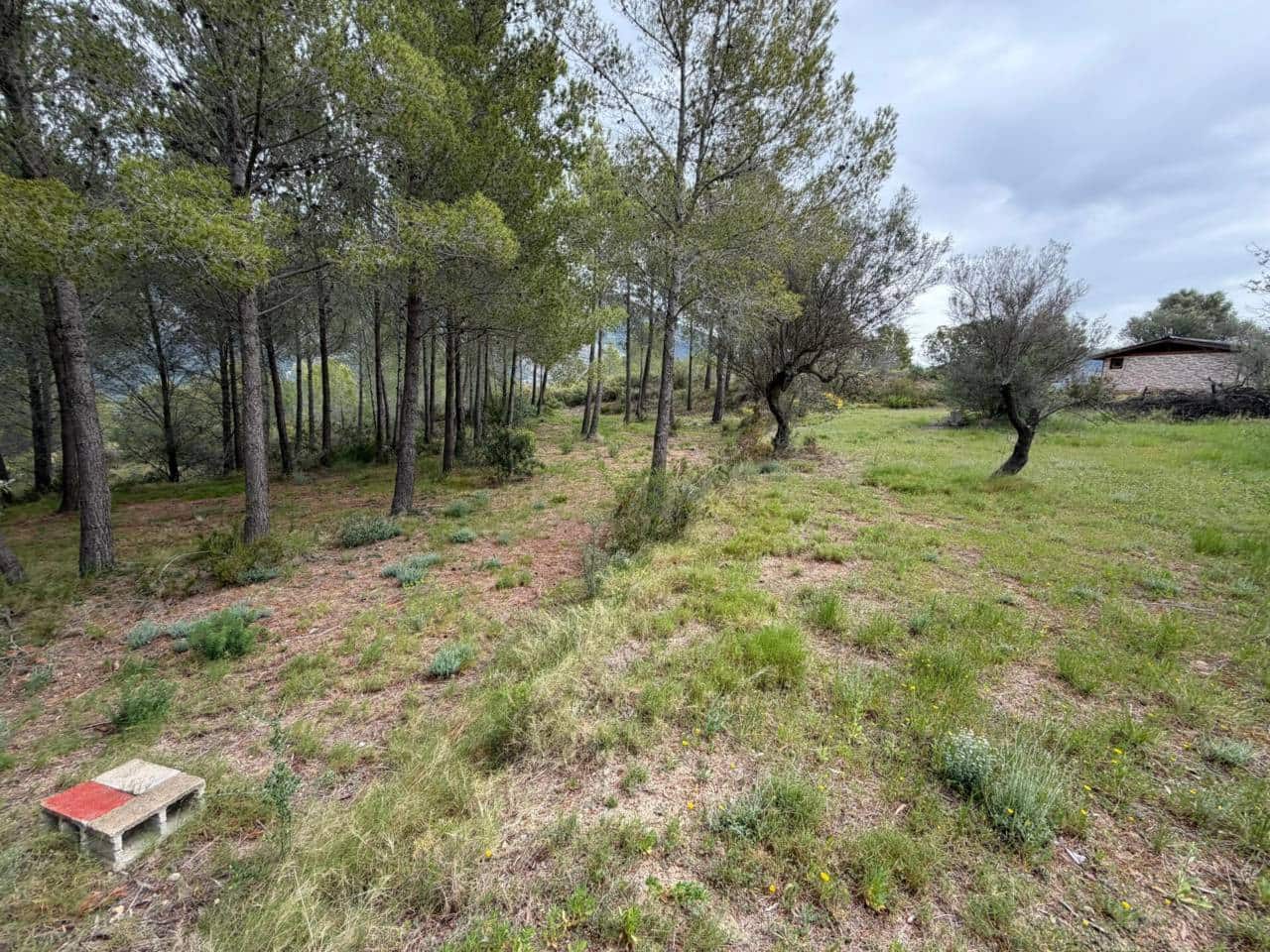 Teren niezagospodarowany na sprzedaż w Guadalest - 95 000 € (Ref: 9002469)
