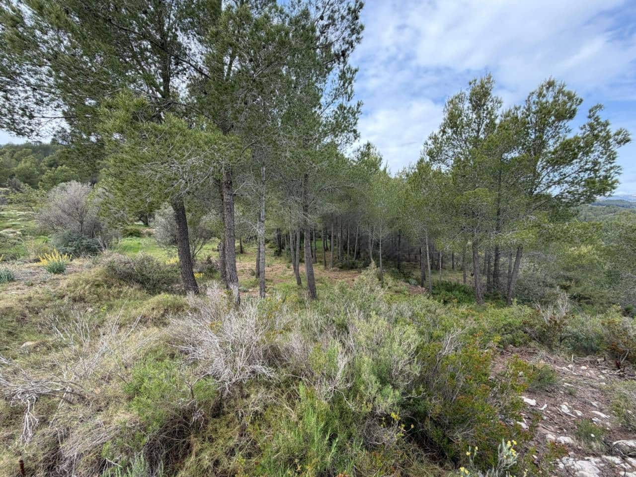 Teren niezagospodarowany na sprzedaż w Guadalest - 95 000 € (Ref: 9002469)