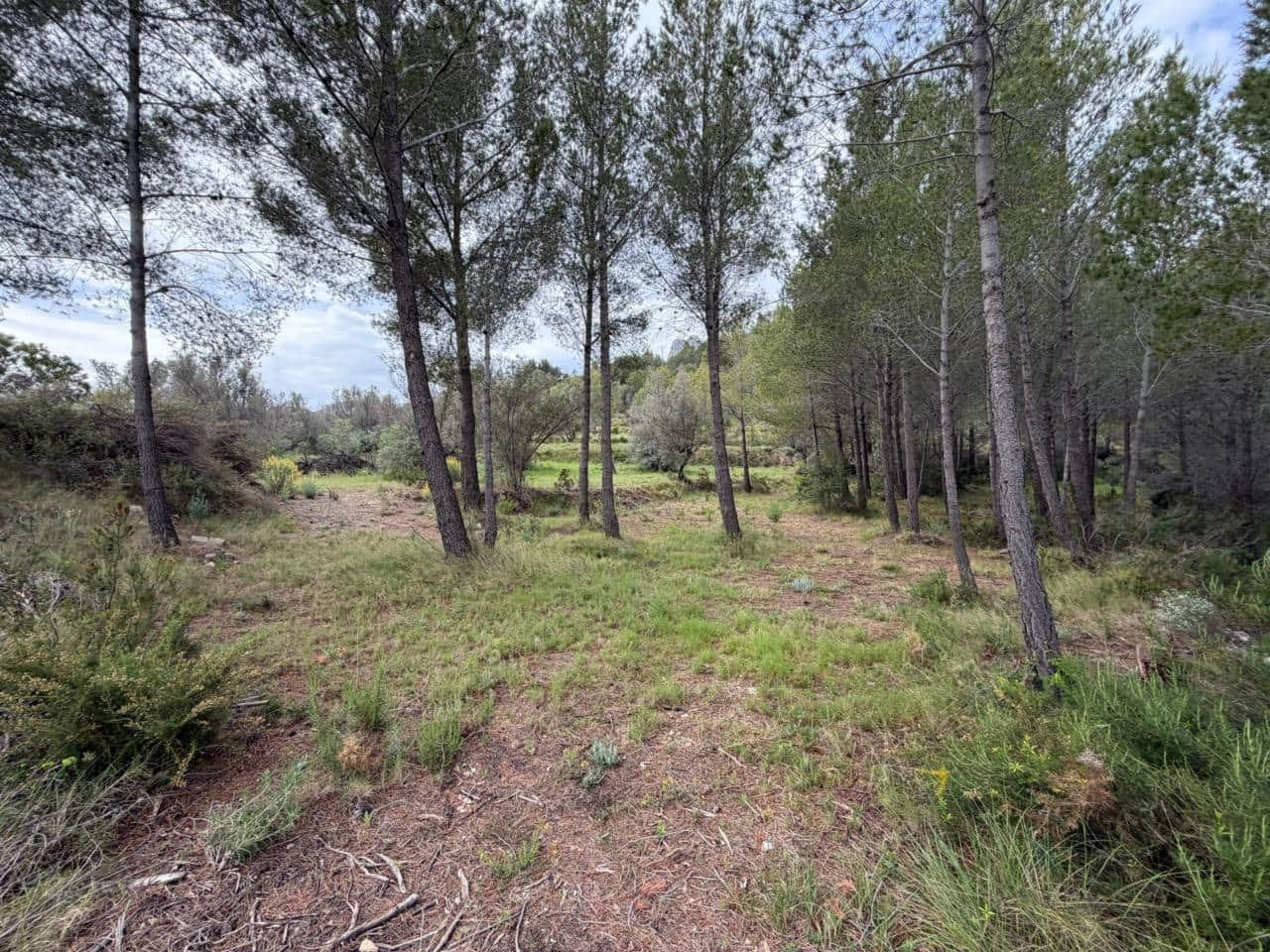 Teren niezagospodarowany na sprzedaż w Guadalest - 95 000 € (Ref: 9002469)