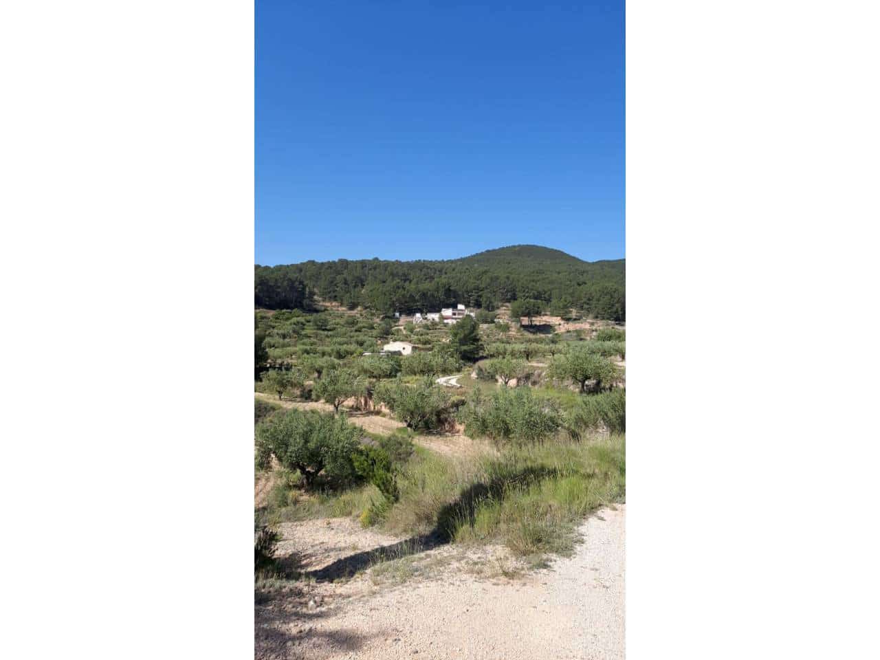 3 chambre Villa/Maison à vendre à Castalla avec garage - 150 000 € (Ref: 9019465)