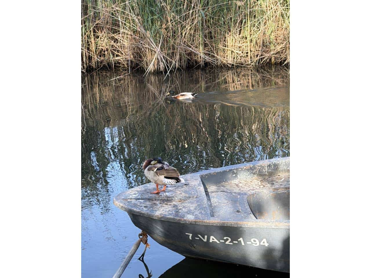 2 sypialnia Dom na sprzedaż w Oliva z basenem garażem - 219 000 € (Ref: 9088436)