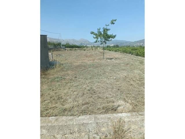 Terreno Non Edificato in vendita in Pego - 45.000 € (Rif: 9133924)
