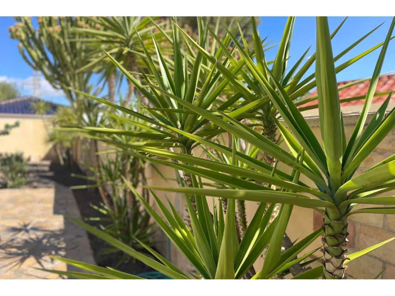 4 bedroom Villa for sale in Orihuela with pool garage - € 510,000 (Ref: 9141236)