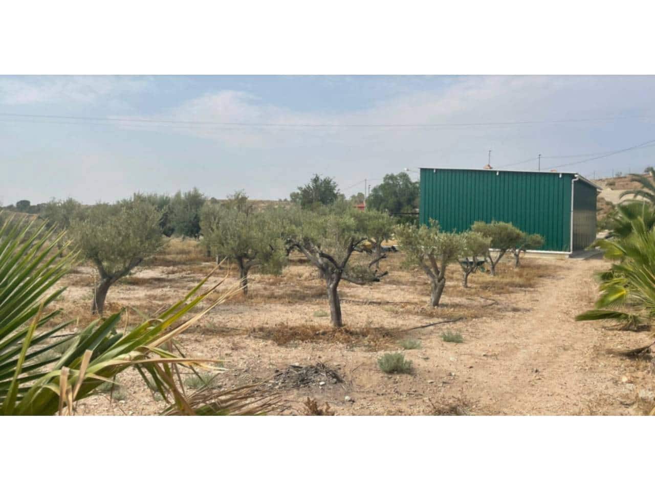 3 chambre Villa/Maison à vendre à Abanilla avec piscine - 349 000 € (Ref: 9366916)