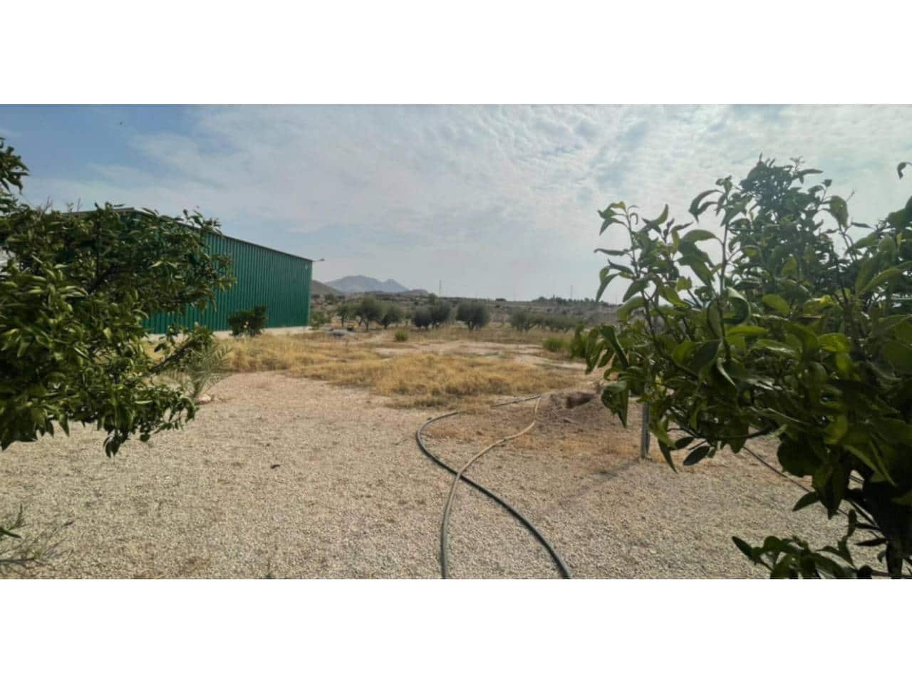 3 chambre Villa/Maison à vendre à Abanilla avec piscine - 349 000 € (Ref: 9366916)