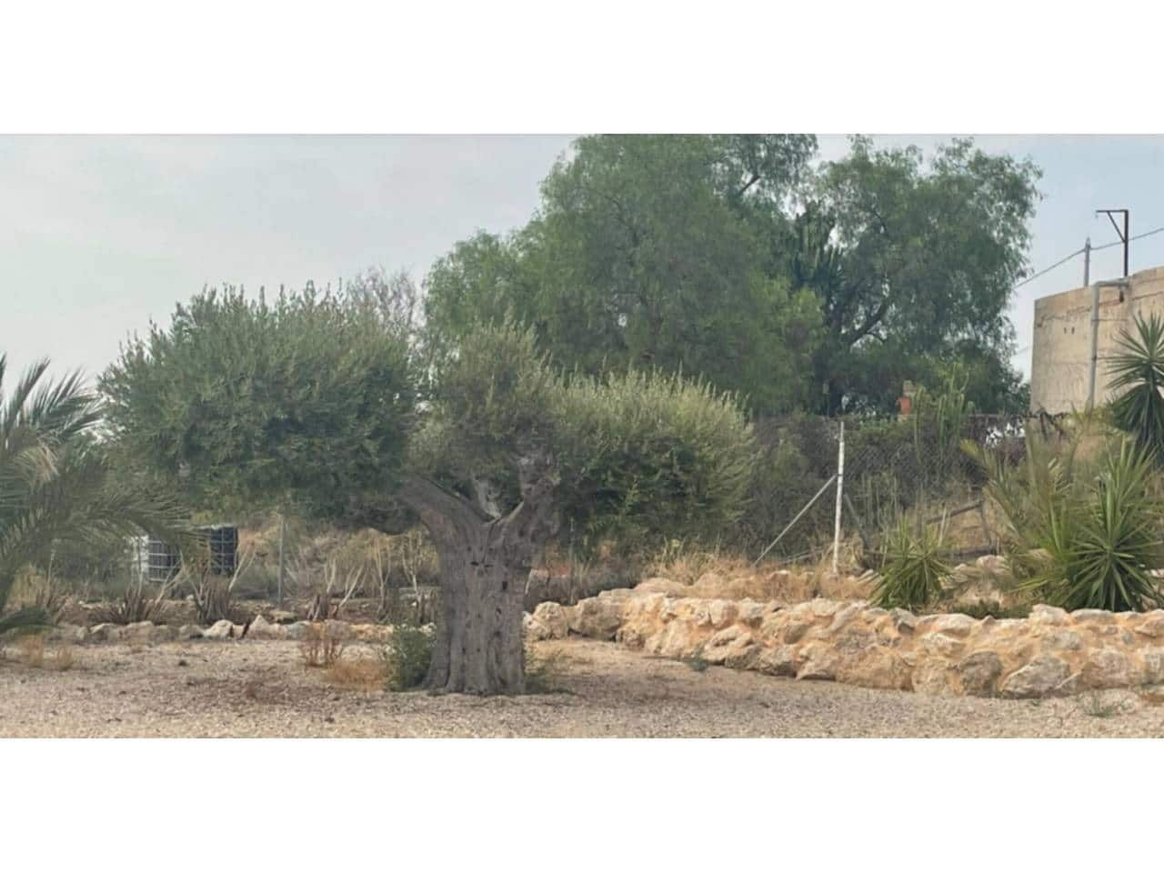 3 chambre Villa/Maison à vendre à Abanilla avec piscine - 349 000 € (Ref: 9366916)