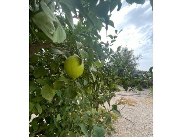 3 chambre Villa/Maison à vendre à Abanilla avec piscine - 349 000 € (Ref: 9366916)