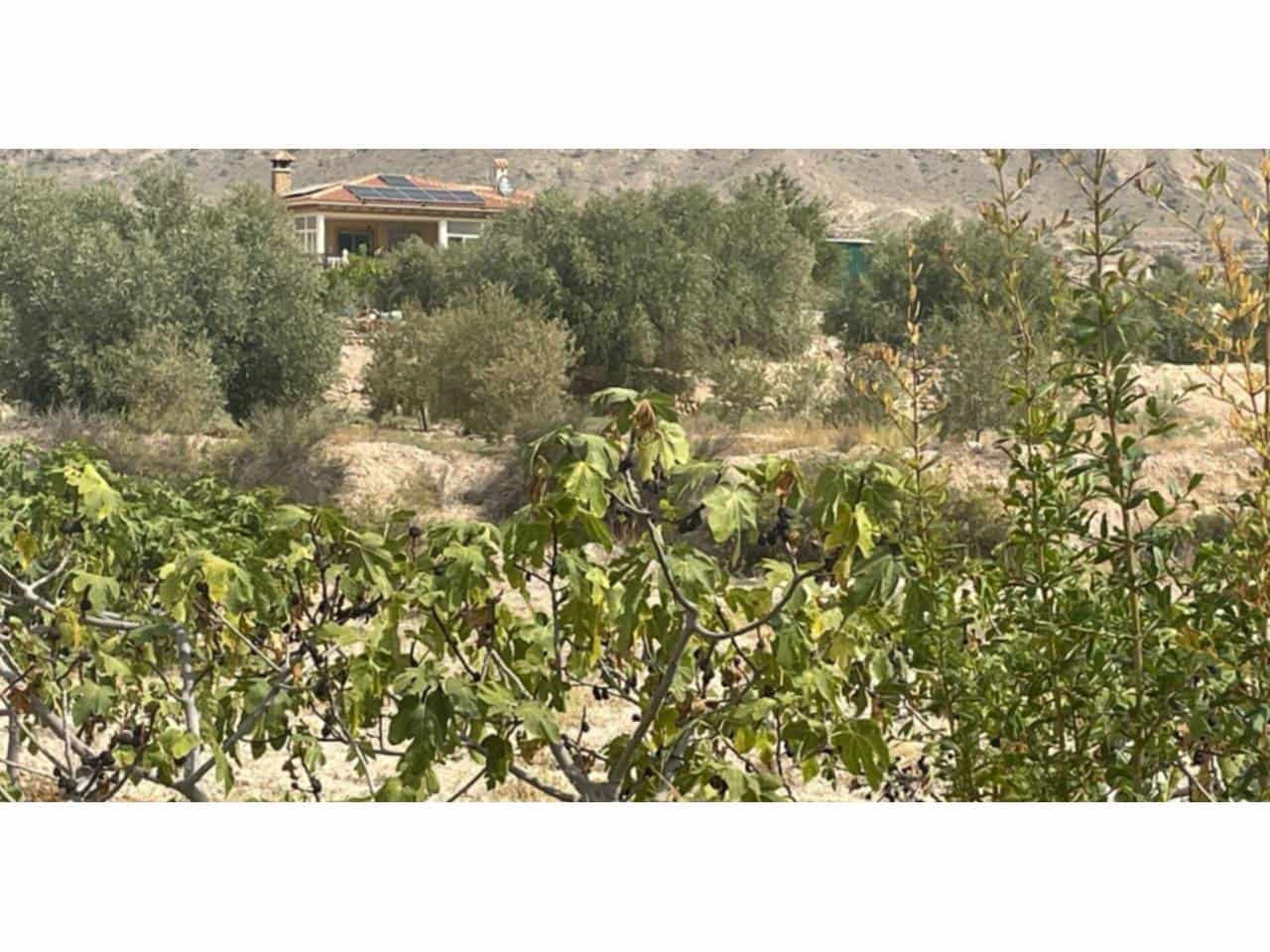 3 chambre Villa/Maison à vendre à Abanilla avec piscine - 349 000 € (Ref: 9366916)