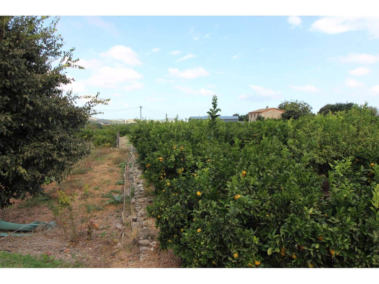 4 bedroom Villa for sale in Pego - € 160,000 (Ref: 9445753)