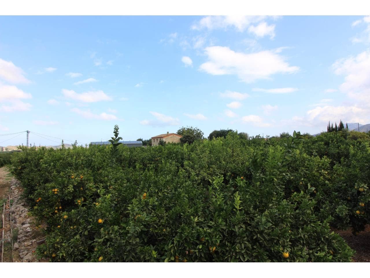 4 bedroom Villa for sale in Pego - € 160,000 (Ref: 9445753)