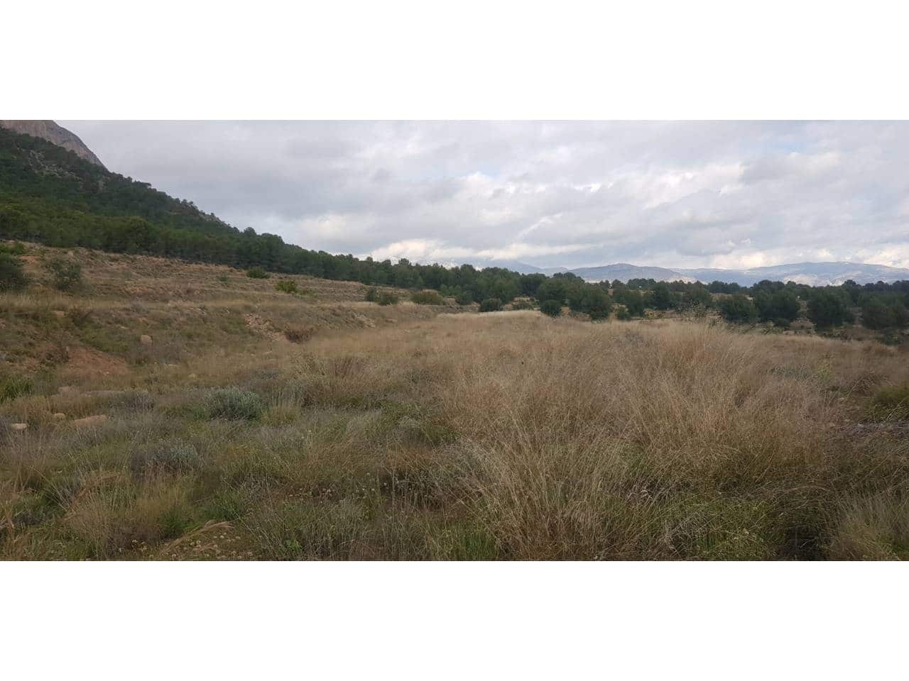 Finca/Casa di Campagna in vendita in Chirles - 1.890.000 € (Rif: 9450064)