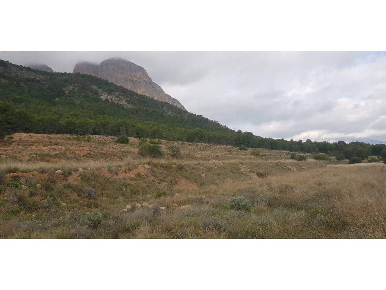 Finca/Casa di Campagna in vendita in Chirles - 1.890.000 € (Rif: 9450064)