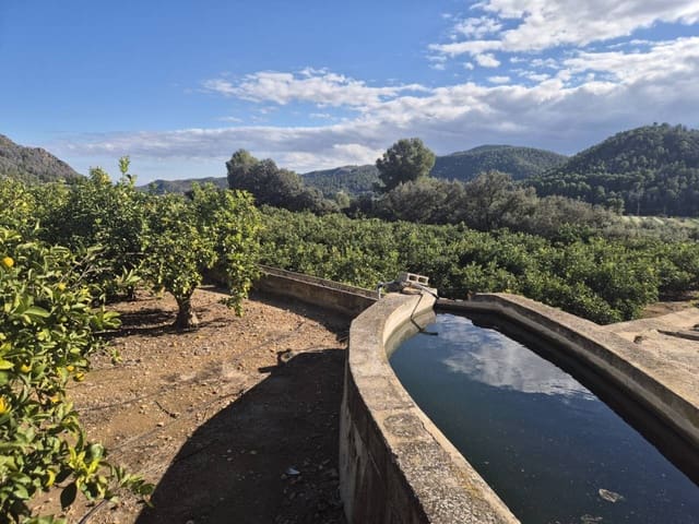 Finca/Casa Rural en Oliva en venta - 75.000 € (Ref: 9453040)