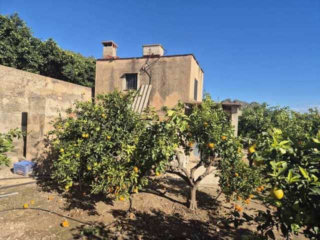 Finca/Casa Rural en Oliva en venta - 75.000 € (Ref: 9453040)